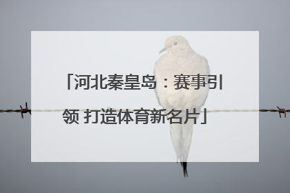 河北秦皇岛：赛事引领 打造体育新名片