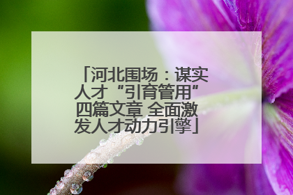 河北围场：谋实人才“引育管用”四篇文章 全面激发人才动力引擎