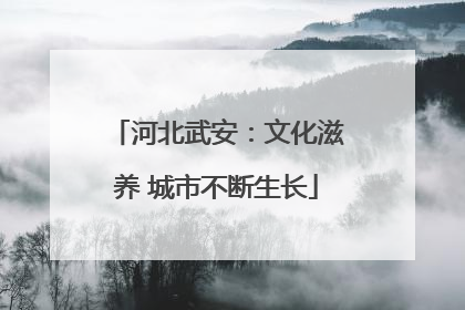 河北武安：文化滋养 城市不断生长