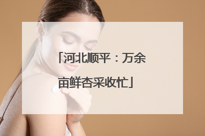 河北顺平：万余亩鲜杏采收忙