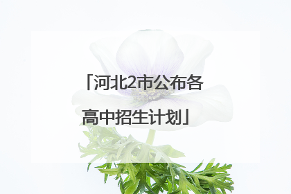 河北2市公布各高中招生计划