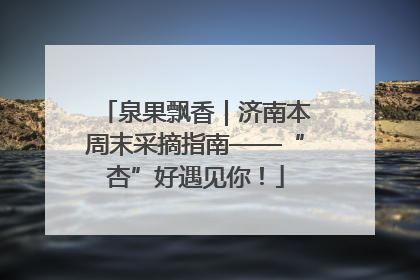 泉果飘香｜济南本周末采摘指南——“杏”好遇见你！