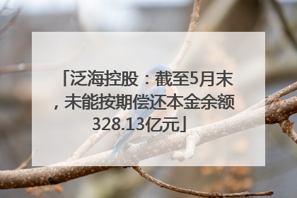 泛海控股：截至5月末，未能按期偿还本金余额328.13亿元