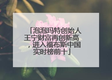泡泡玛特创始人王宁财富再创新高，进入福布斯中国实时榜前十