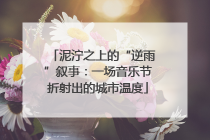 泥泞之上的“逆雨”叙事：一场音乐节折射出的城市温度