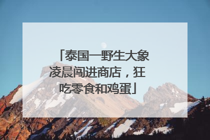泰国一野生大象凌晨闯进商店，狂吃零食和鸡蛋