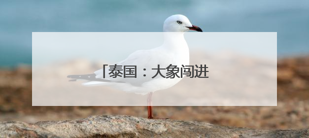 泰国：大象闯进便利店吃零食