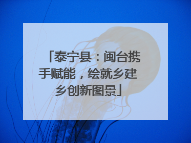泰宁县：闽台携手赋能，绘就乡建乡创新图景