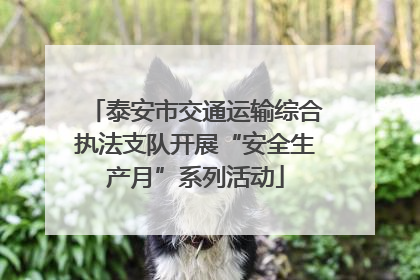 泰安市交通运输综合执法支队开展“安全生产月”系列活动