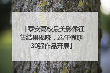 泰安高校最美影像征集结果揭晓，端午假期30强作品开展