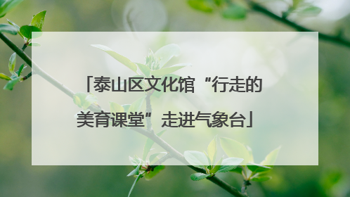 泰山区文化馆“行走的美育课堂”走进气象台
