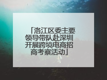 洛江区委主要领导带队赴深圳开展跨境电商招商考察活动