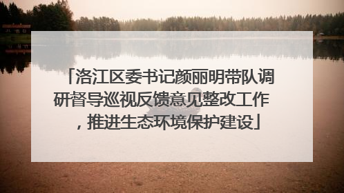 洛江区委书记颜丽明带队调研督导巡视反馈意见整改工作，推进生态环境保护建设