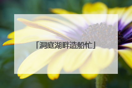 洞庭湖畔造船忙