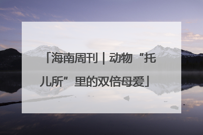 海南周刊｜动物“托儿所”里的双倍母爱