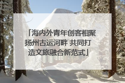 海内外青年创客相聚扬州古运河畔 共同打造文旅融合新范式