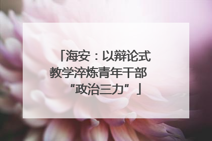 海安：以辩论式教学淬炼青年干部“政治三力”