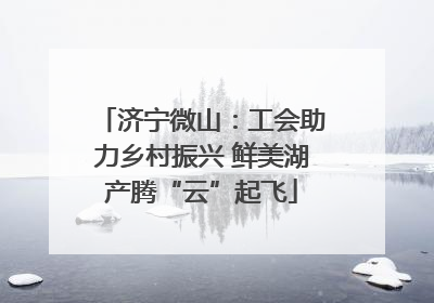 济宁微山：工会助力乡村振兴 鲜美湖产腾“云”起飞