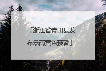 浙江省青田县发布暴雨黄色预警