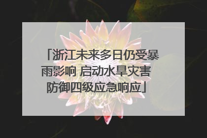 浙江未来多日仍受暴雨影响 启动水旱灾害防御四级应急响应