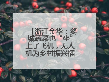 浙江金华：婺城蔬菜也“坐”上了飞机，无人机为乡村振兴插上“翅膀”