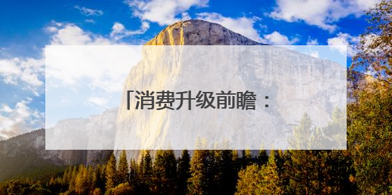 消费升级前瞻：湖南金证把脉智能家居增长逻辑