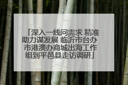 深入一线问需求 精准助力谋发展 临沂市台办 市港澳办商城出海工作组到平邑县走访调研