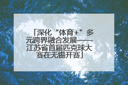 深化“体育+”多元跨界融合发展——江苏省首届匹克球大赛在无锡开赛