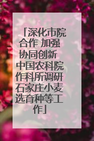 深化市院合作 加强协同创新 中国农科院作科所调研石家庄小麦选育种等工作