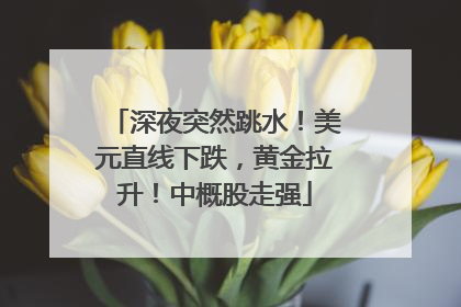 深夜突然跳水！美元直线下跌，黄金拉升！中概股走强