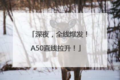 深夜，全线爆发！A50直线拉升！