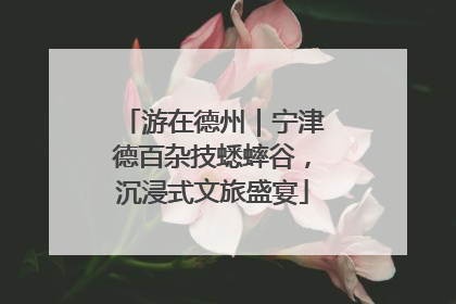 游在德州｜宁津德百杂技蟋蟀谷，沉浸式文旅盛宴
