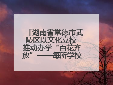 湖南省常德市武陵区以文化立校 推动办学“百花齐放”——每所学校都“精彩”