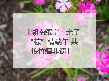 湖南绥宁：亲子“粽”情端午 共传竹编非遗