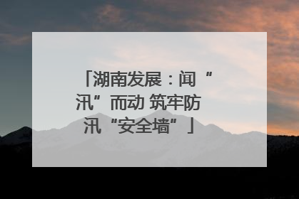 湖南发展：闻“汛”而动 筑牢防汛“安全墙”
