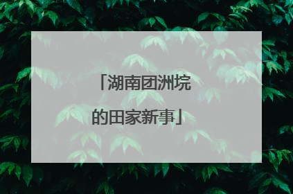 湖南团洲垸的田家新事