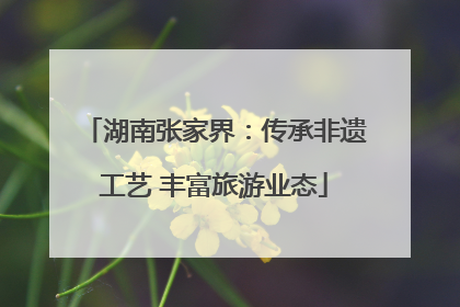 湖南张家界：传承非遗工艺 丰富旅游业态