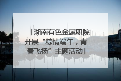 湖南有色金属职院开展“粽情端午，青春飞扬”主题活动