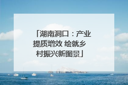 湖南洞口：产业提质增效 绘就乡村振兴新图景