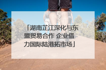 湖南芷江深化与东盟贸易合作 企业借力国际陆港拓市场