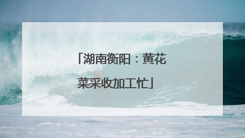 湖南衡阳：黄花菜采收加工忙