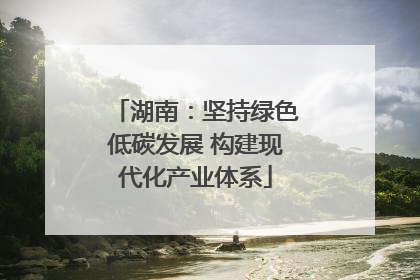 湖南：坚持绿色低碳发展 构建现代化产业体系