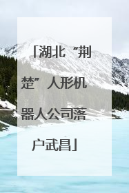 湖北“荆楚”人形机器人公司落户武昌