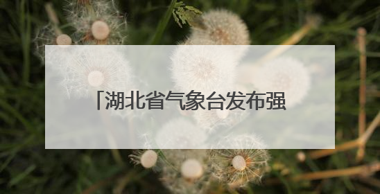 湖北省气象台发布强对流黄色省级预警！