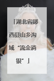 湖北省郧西县山乡沟域“流金淌银”