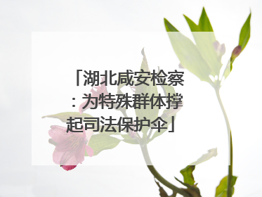 湖北咸安检察：为特殊群体撑起司法保护伞