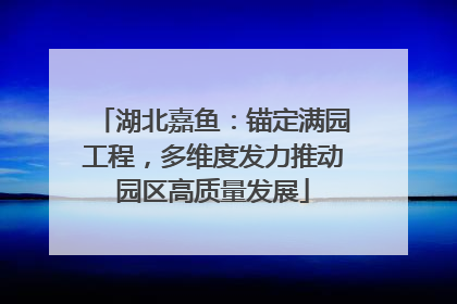 湖北嘉鱼：锚定满园工程，多维度发力推动园区高质量发展