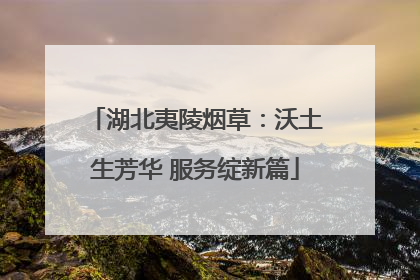 湖北夷陵烟草：沃土生芳华 服务绽新篇