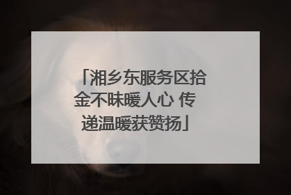 湘乡东服务区拾金不昧暖人心 传递温暖获赞扬