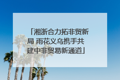湘浙合力拓非贸新局 雨花义乌携手共建中非贸易新通道